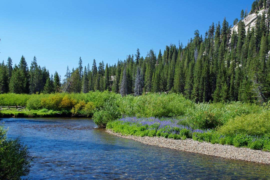 Secret Californian company with billions in water rights?